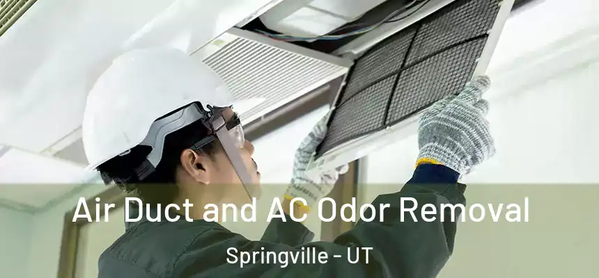  Air Duct and AC Odor Removal Springville - UT