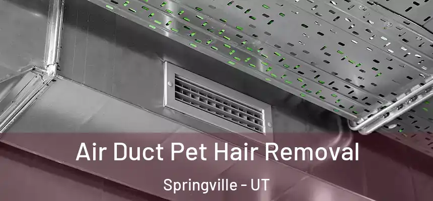  Air Duct Pet Hair Removal Springville - UT