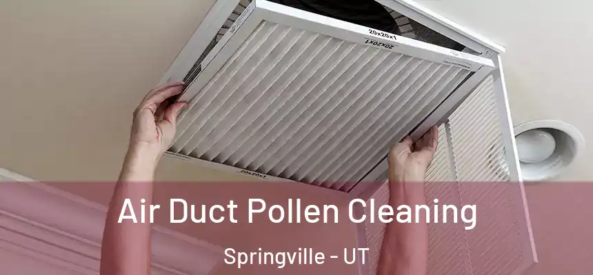  Air Duct Pollen Cleaning Springville - UT