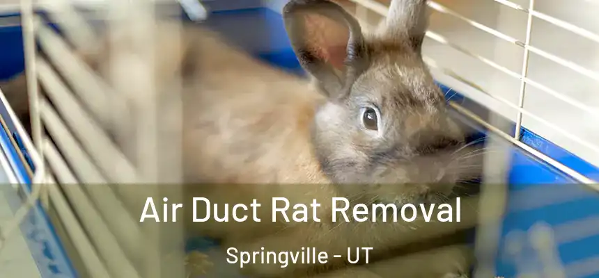  Air Duct Rat Removal Springville - UT