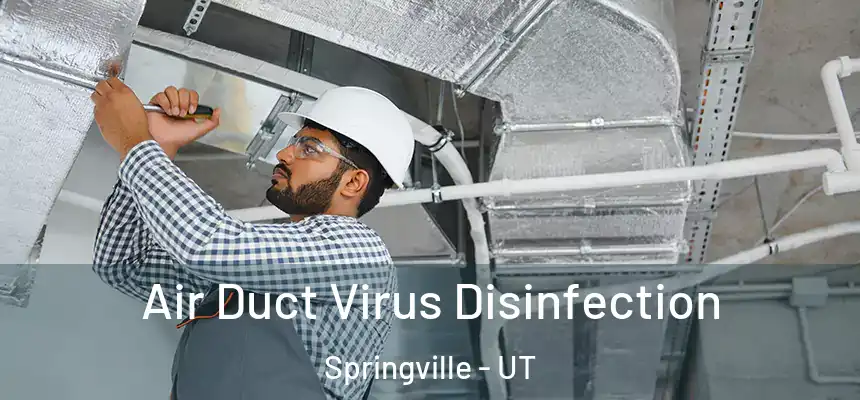  Air Duct Virus Disinfection Springville - UT