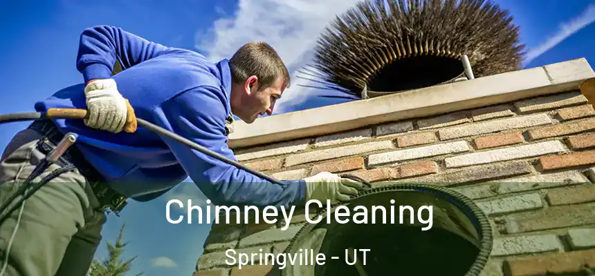  Chimney Cleaning Springville - UT