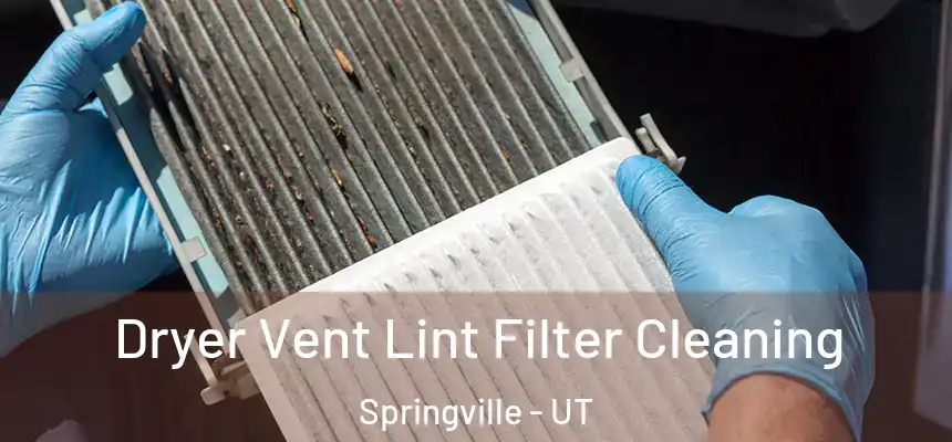  Dryer Vent Lint Filter Cleaning Springville - UT