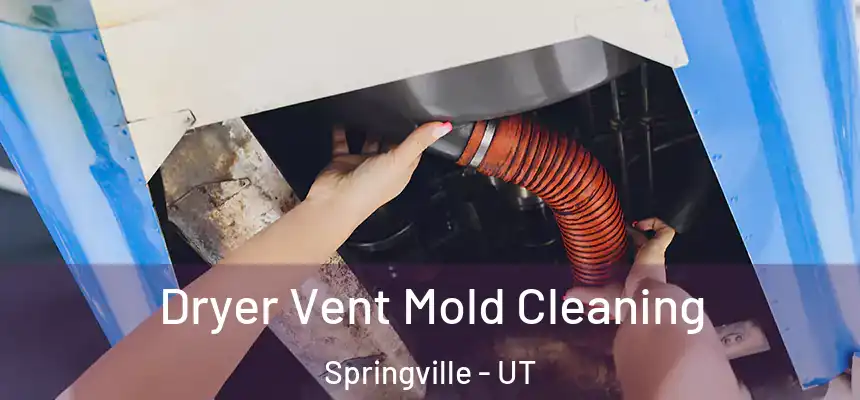 Dryer Vent Mold Cleaning Springville - UT