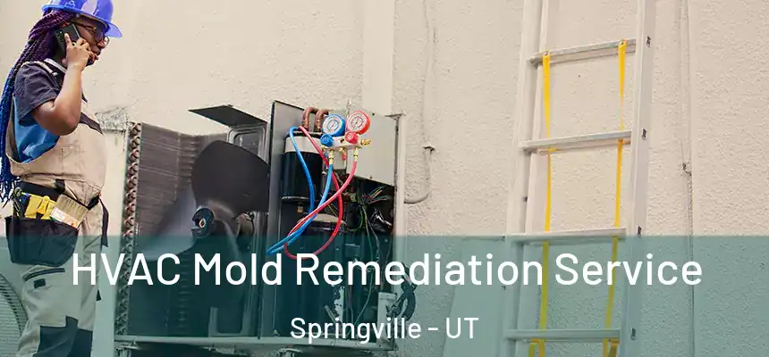  HVAC Mold Remediation Service Springville - UT