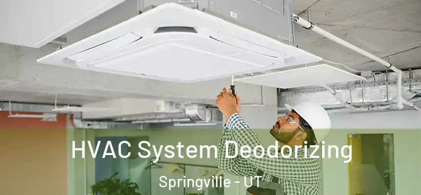  HVAC System Deodorizing Springville - UT