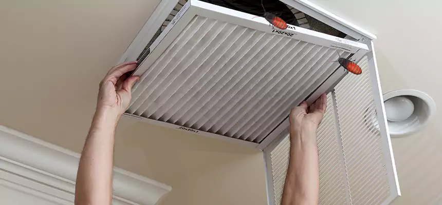 Preventive Cockroach-Proofing for Ducts in Springville