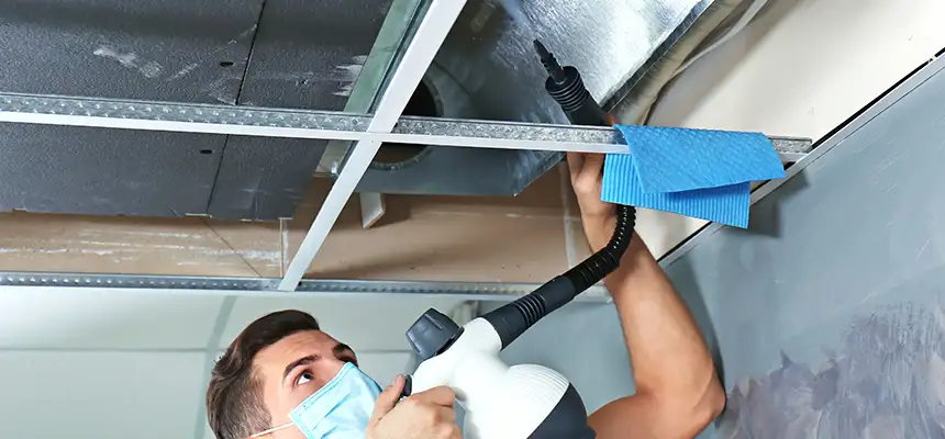 Our Air Duct Rodent Removal Services in Springville, UT