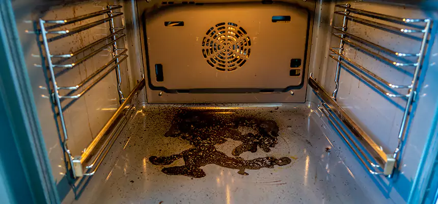 Our Dryer Vent Mold Cleaning Services in Springville, UT