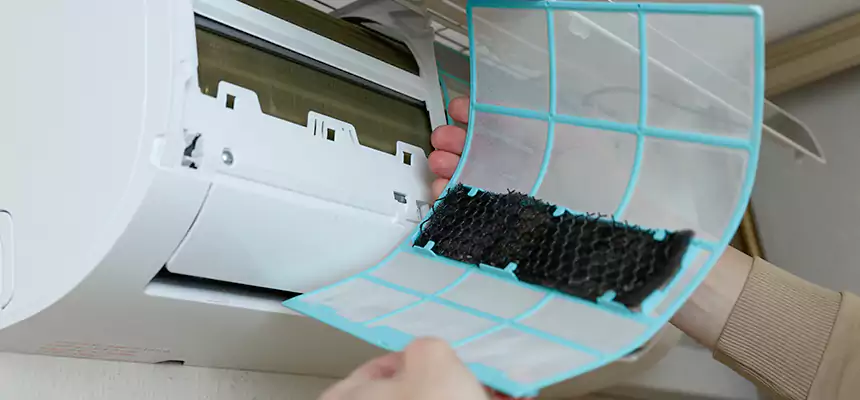 Gentle Ductwork Odor-Control Pet Dander Duct Cleaning in Springville, UT