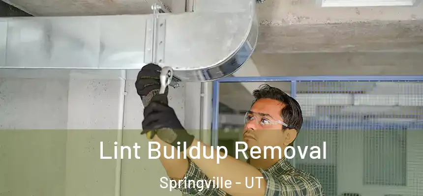 Lint Buildup Removal Springville - UT