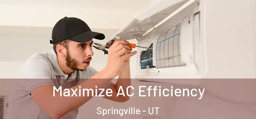  Maximize AC Efficiency Springville - UT
