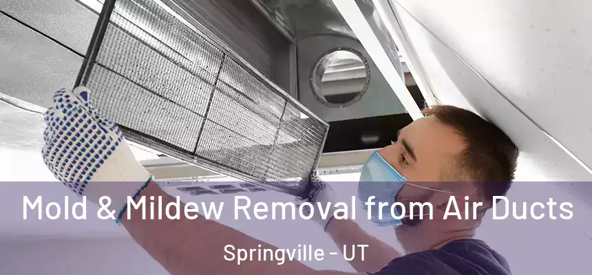  Mold & Mildew Removal from Air Ducts Springville - UT