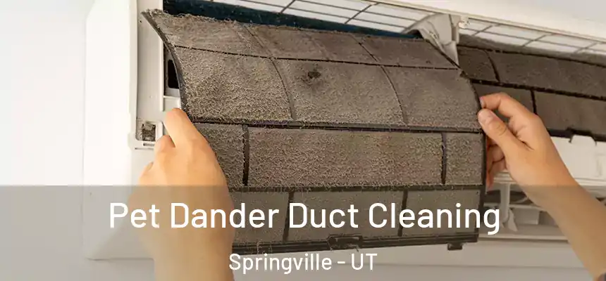 Pet Dander Duct Cleaning Springville - UT