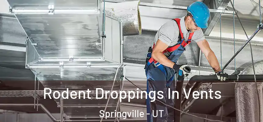  Rodent Droppings In Vents Springville - UT