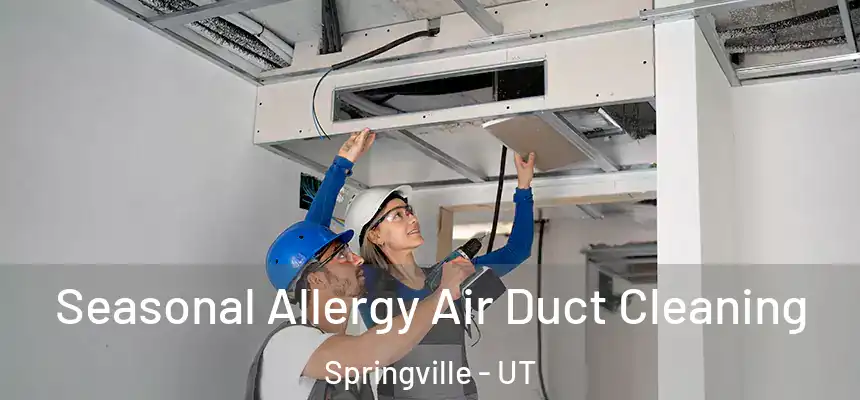  Seasonal Allergy Air Duct Cleaning Springville - UT