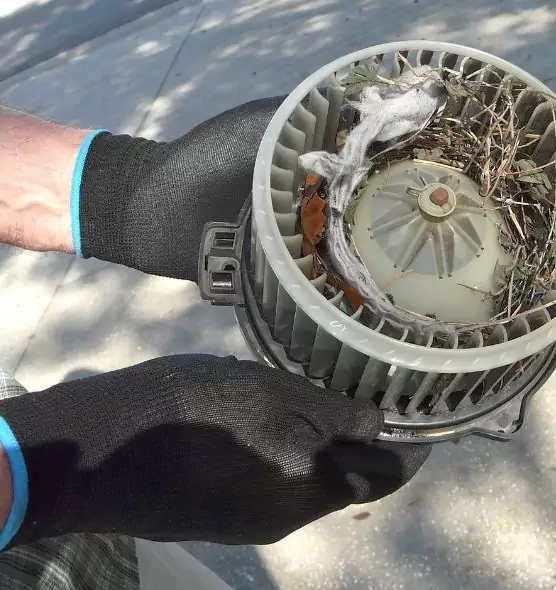 About Air Duct Rat Removal in Springville, UT