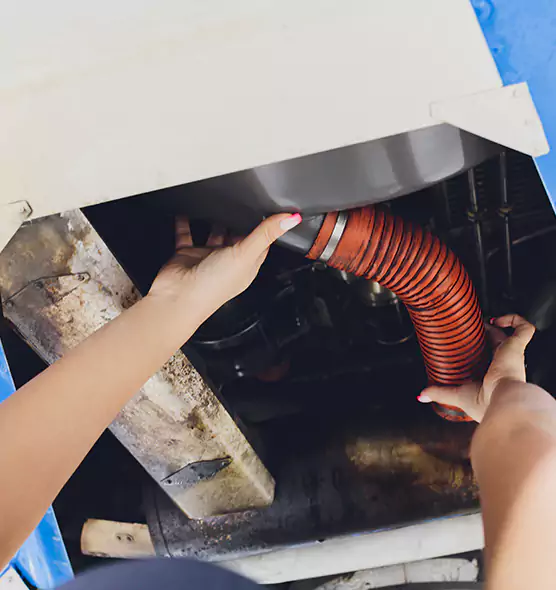About Air Duct Virus Disinfection in Springville, UT