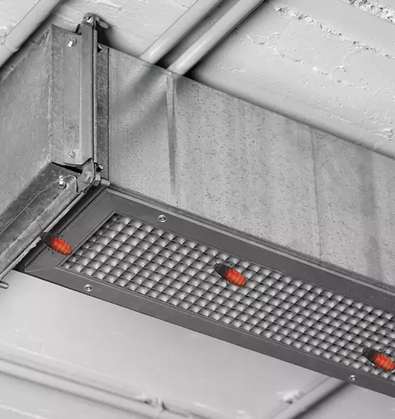 Affordable Insect Removal from Air Ducts in Springville, UT