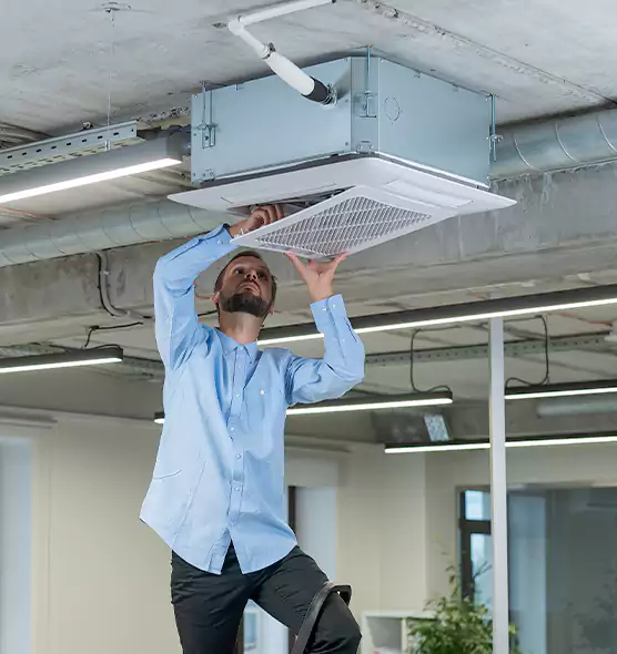 Advanced Rodent Droppings In Vents in Springville, UT