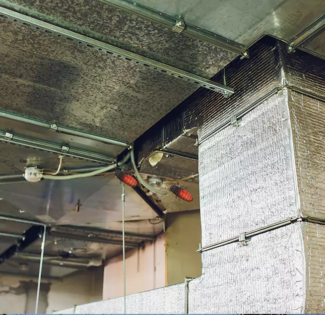 Why Homeowners & Businesses Trust Us in Springville, UT?